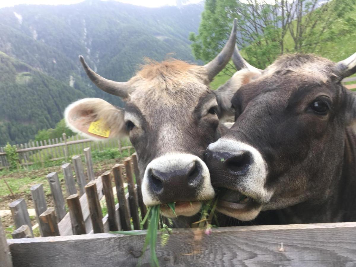 Knappnhof Campo di Trens Buitenkant foto